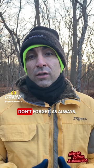 LISTEN TO SOME GEESE! GOOD MORNING!