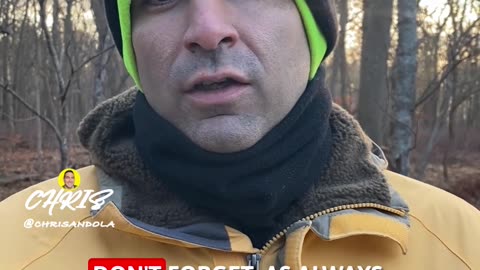 LISTEN TO SOME GEESE! GOOD MORNING!