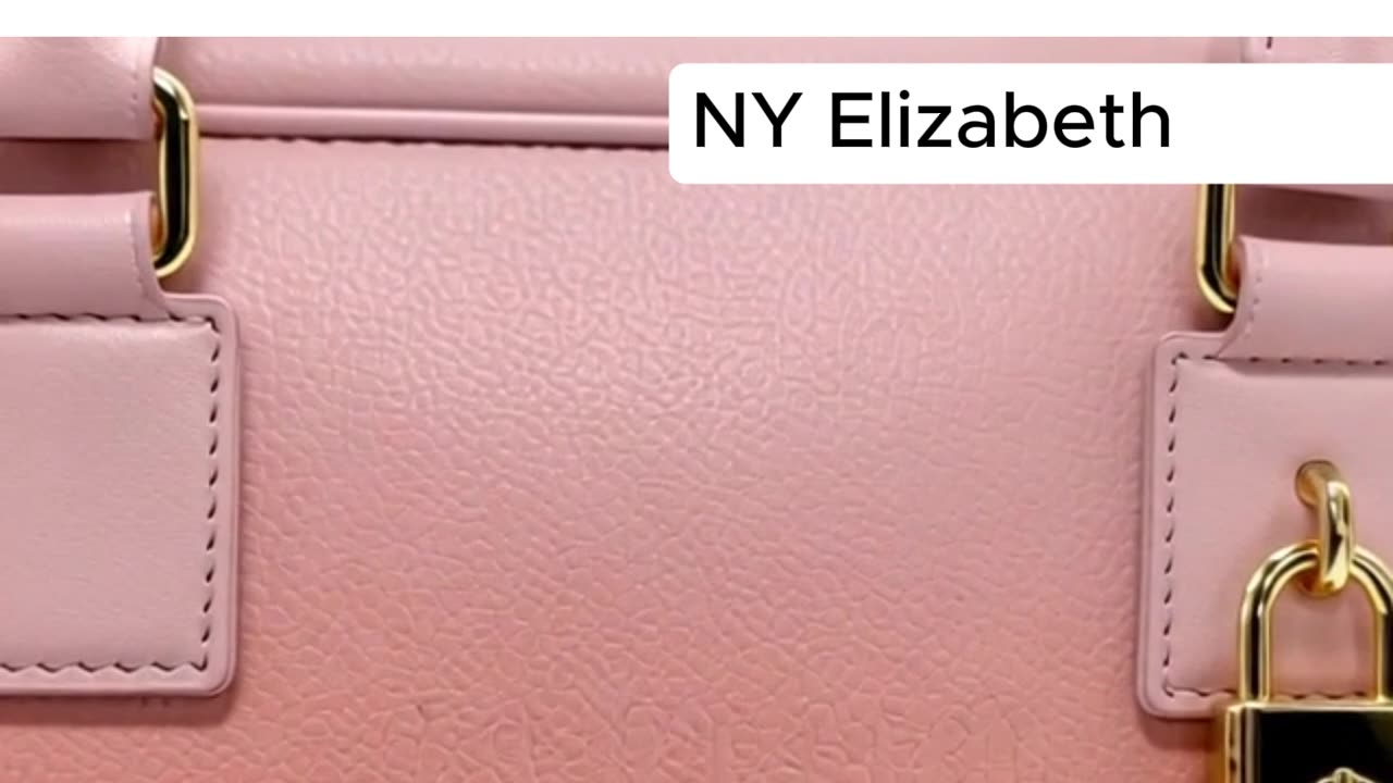 LOEWE AMAZONA 23 HANDBAG DARK CORAL