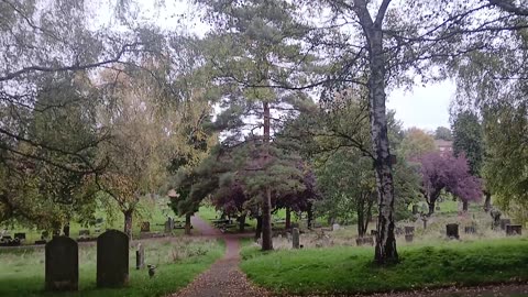 The cemetery is large with lots of paths to walk dogs on