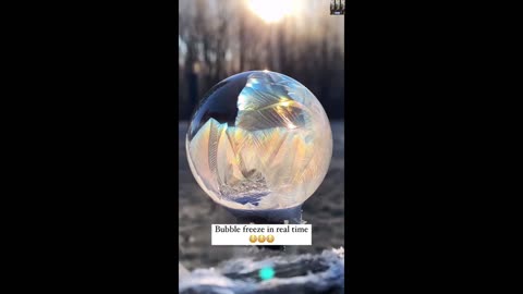 Bubble freezing in real time - WOW 🤯