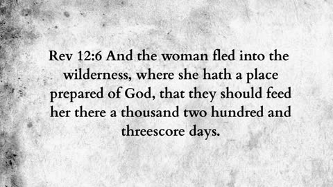 Martus Ministry -497- Who warned