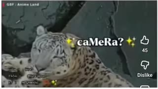 😂🐾 You Won't Believe This Hilarious Privacy Fail! | FunFM