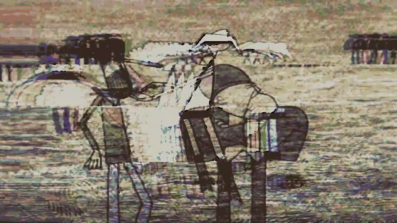 Shock Testing by Inside Sedition (music video)