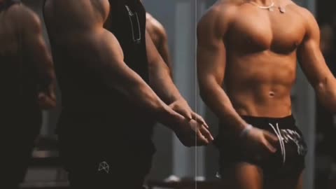 stonge body gym