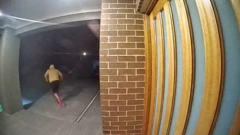 Door-Knocking Dingus Falls Down