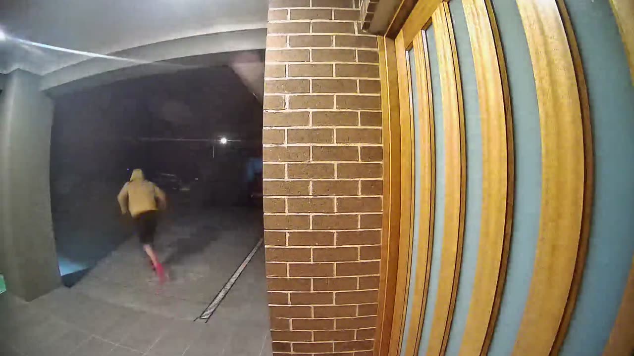 Door-Knocking Dingus Falls Down