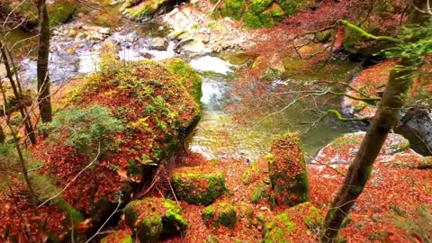 Soft Jazz House for Working