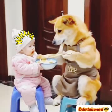 Viral🔥 funny😝🤣 comedy🤣🤣 video