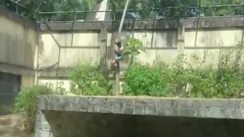 The 2025 Darwinian Award