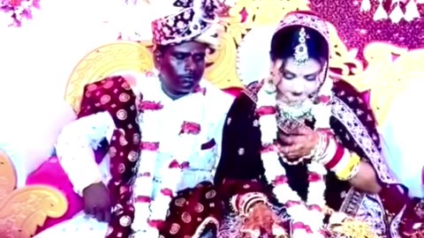 Best Funny Weddings 🤵🏾‍♂️