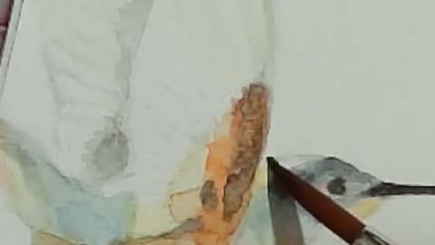 Watercolor Hummingbird