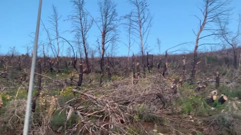 Gjekmarkaj: Thirrje për ndërhyrje urgjente në zonën pranë Kishës së Shën Ndout, Laç