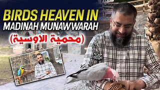 Birds Heaven in Madinah Munawwarah (محمیۃ الاوسیۃ) | Zeeshan Usmani