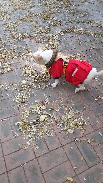 20251117. I Believe God.