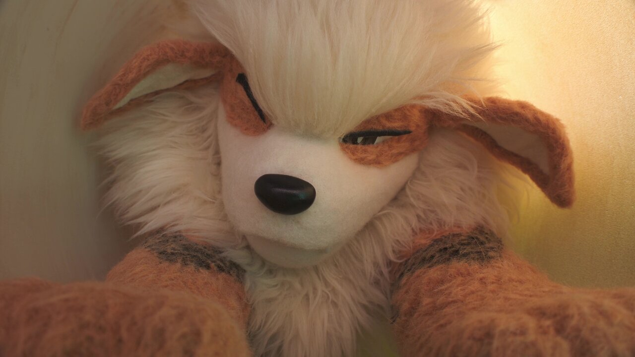 Where I Belong Pokémon Concierge Episode 8 Reaction