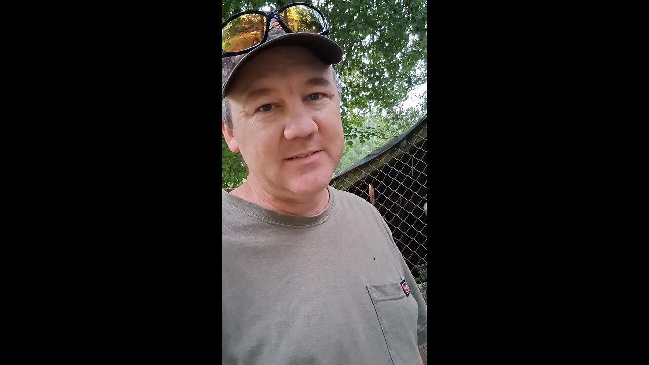 Clipping chicken wings