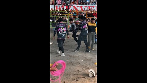 Bull Gone Wild: Shocking Moment a Bull Attacks the Crowd!"