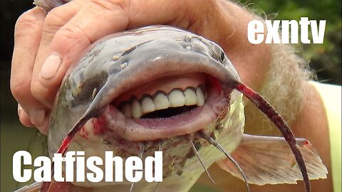 I Got Catfished Twice... And I Loved It!