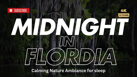 Peaceful Night in the Swamp: 30-Minute Nature Soundscape