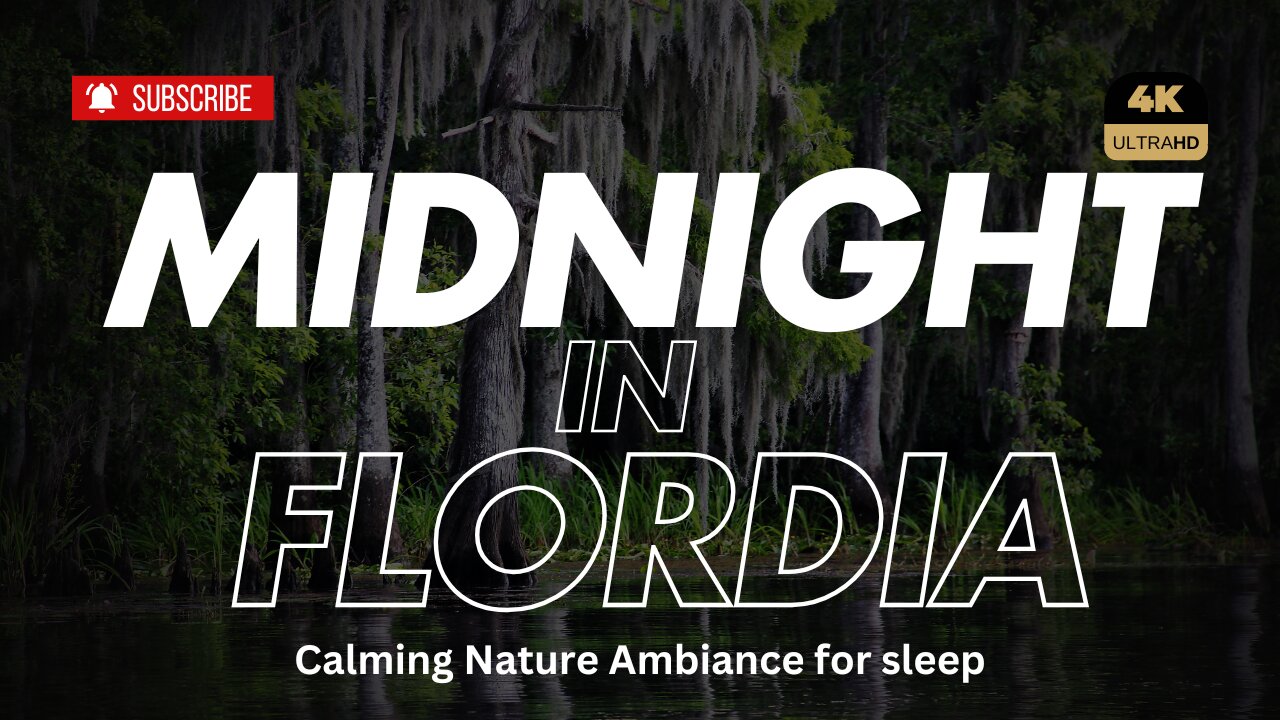 Peaceful Night in the Swamp: 30-Minute Nature Soundscape