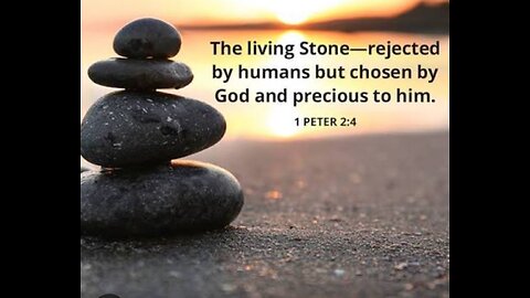 1st Peter 2 (Part 1) Read and Explained