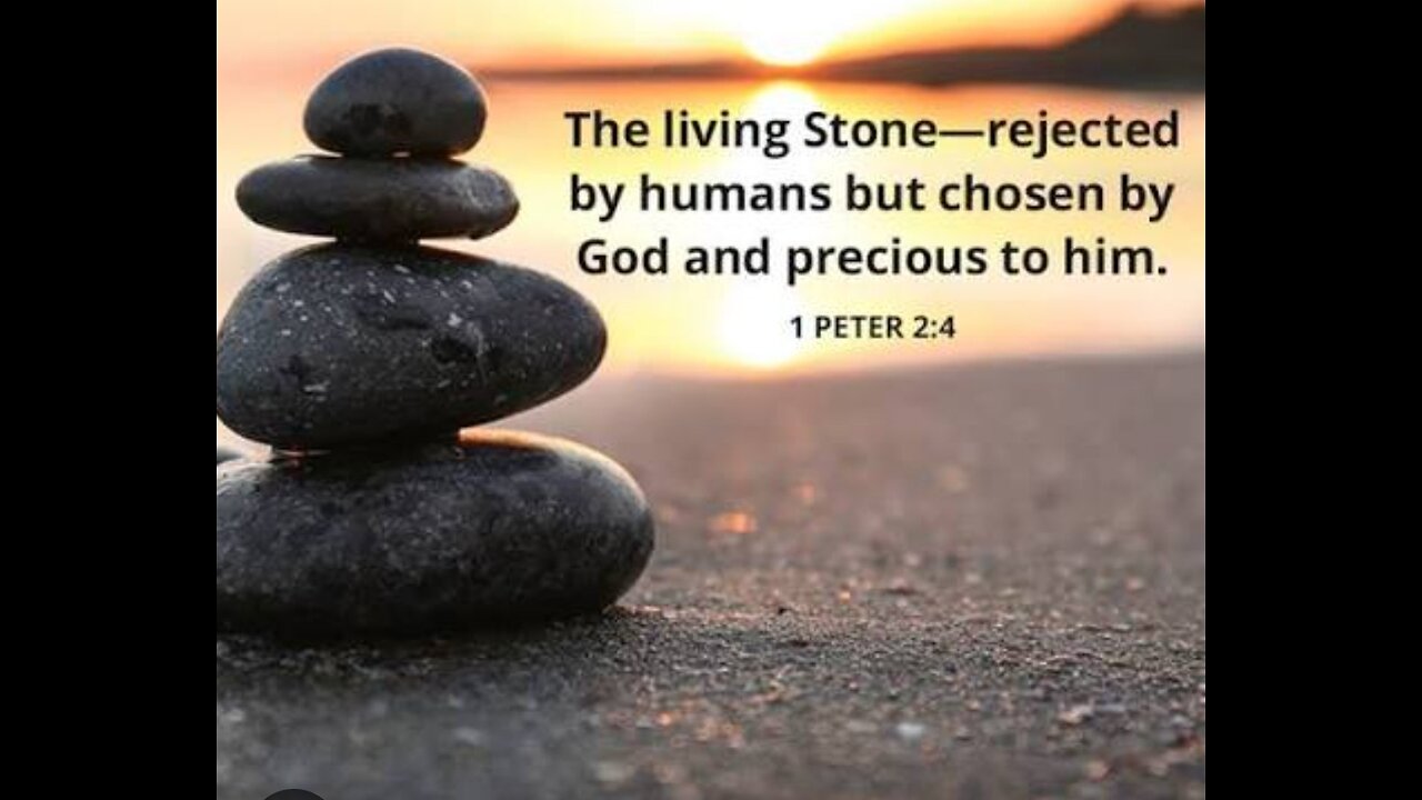 1st Peter 2 (Part 1) Read and Explained