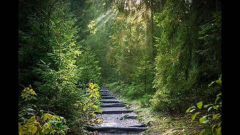 ASMR Naturism/Nudism: Thoughts, Benefits, & Embracing Imperfections