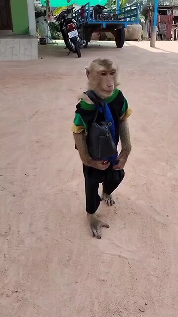 Good Job Best SokYaa, OG, Pao & Mom Are Famous Around The World #shorts #anime #trend #edit