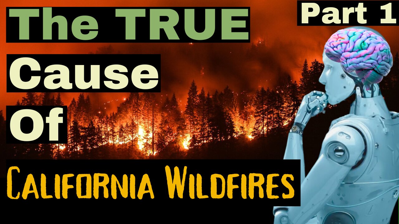 The Hidden Factor Behind California’s Wildfire Crisis