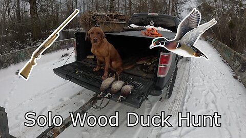 Solo North Carolina Wood Duck Hunt