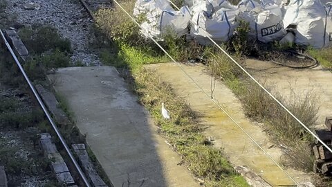 Paseo entre las vías