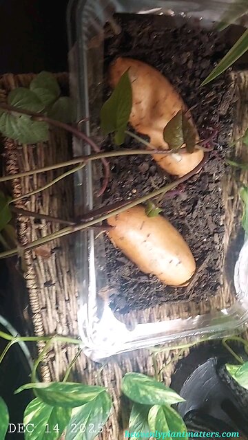 One Month After Harvest, Getting Ready for Spring!