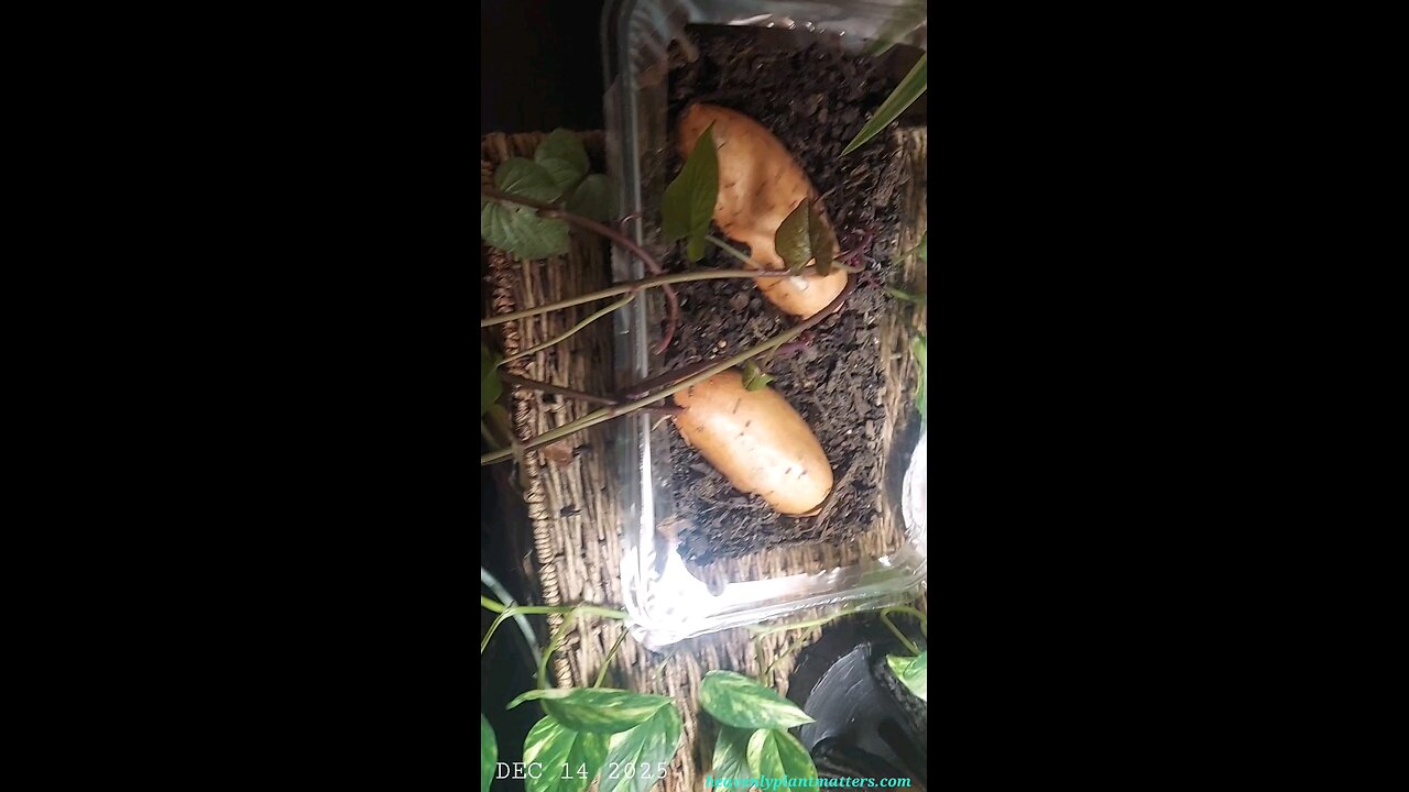 One Month After Harvest, Getting Ready for Spring!