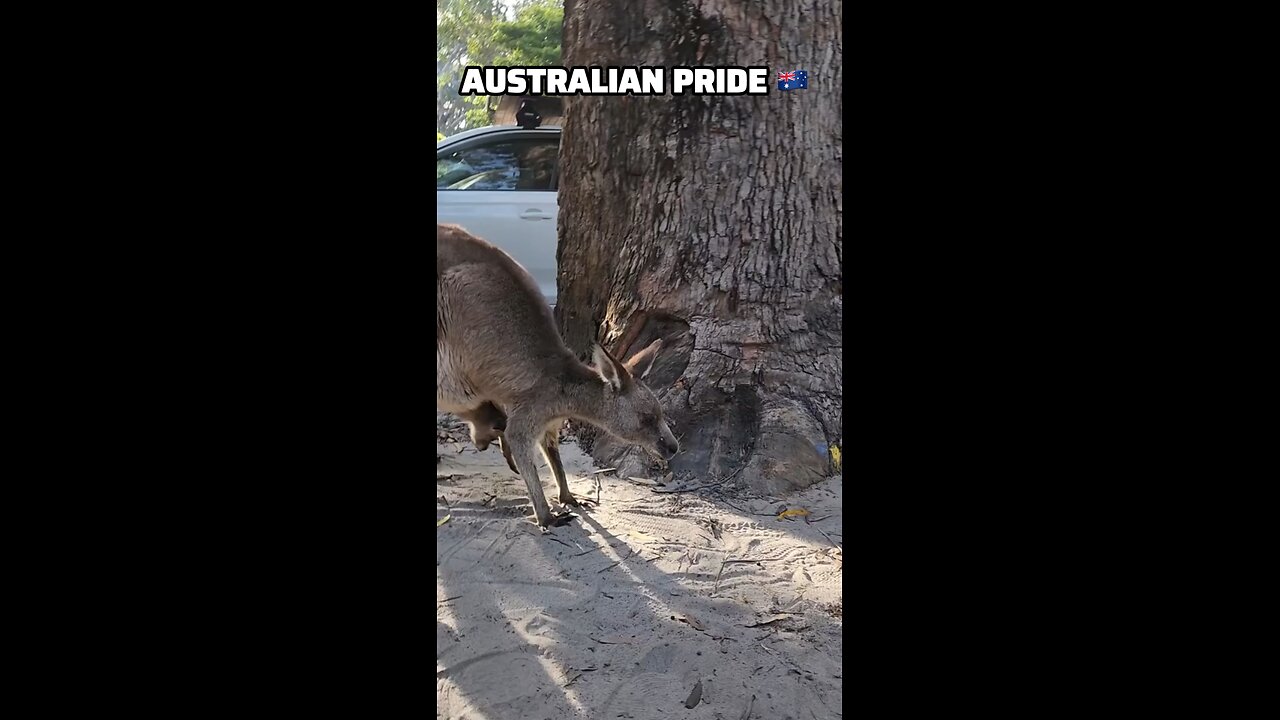 Australian pride