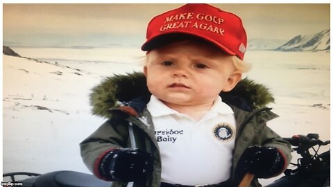 Baby Trump’s Alaska Christmas Tree Adventure Goes Wild! 🎄😂
