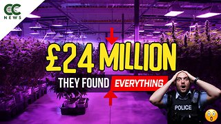 UK Police Seize 2 TONS of Cannabis in Massive Farm Raid 🚨 £24M Bust