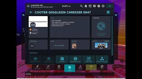meeting a Nazi in vr chat