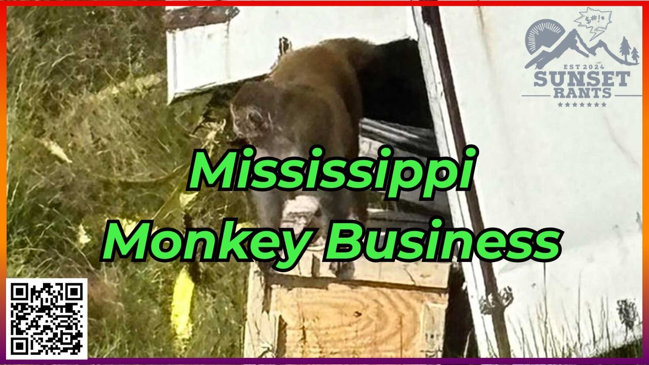 Monkeys, Mayhem, and Old Messages -- Tonight on Sunset Rants!