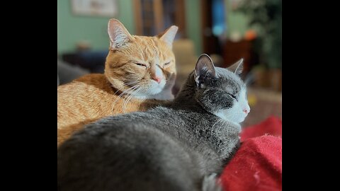 Episode 3035 CWSA 12/03/25