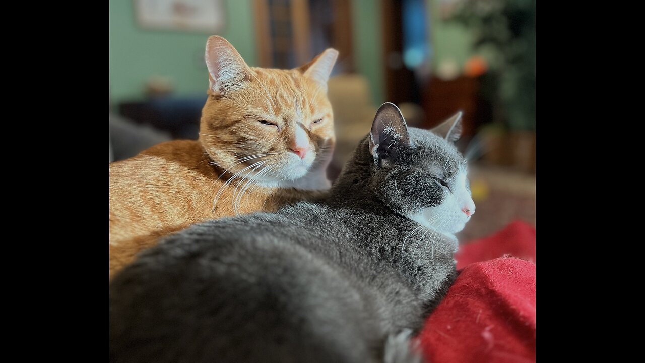 Episode 3035 CWSA 12/03/25