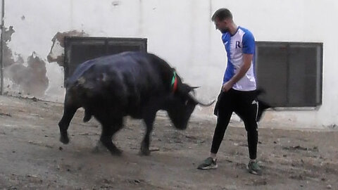 2025 10 30 SUERAS PATRONALES