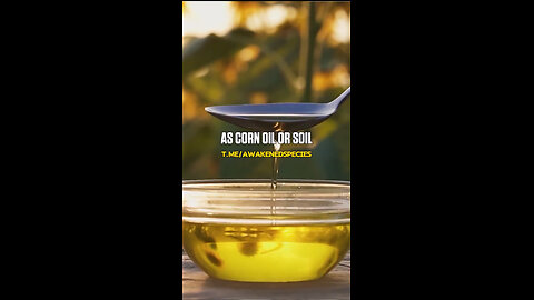 The TRUTH About SEED OILs & Their Popularity in OUR FOOD