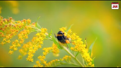 Some Positive Good News In 2025 You Might Have Missed!