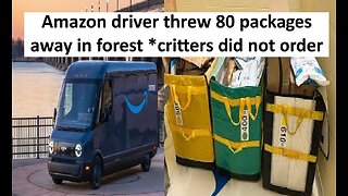 Amazon driver dumps 80 Christmas packages in woods