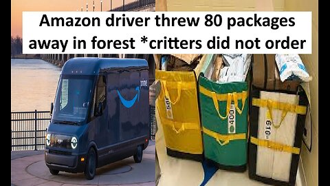 Amazon driver dumps 80 Christmas packages in woods