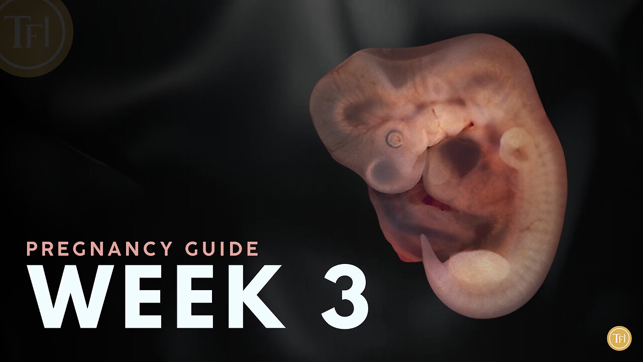 What to Expect at Week 3 | Week by Week Pregnancy Guide