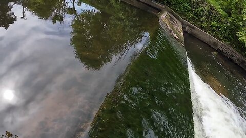 Professor Moriarty in St Michaels on Wyre