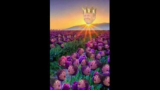 Trollin The Left Live Stream