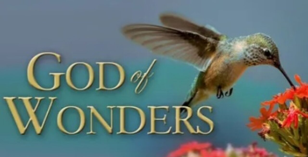 The God Of Wonders - Educational Documentary.